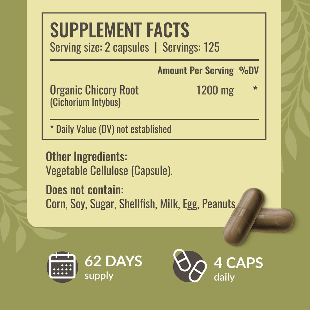 HERBAMAMA Chicory Root Powder inside capsules highlighting prebiotic fiber