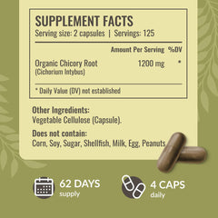 HERBAMAMA Chicory Root Powder inside capsules highlighting prebiotic fiber