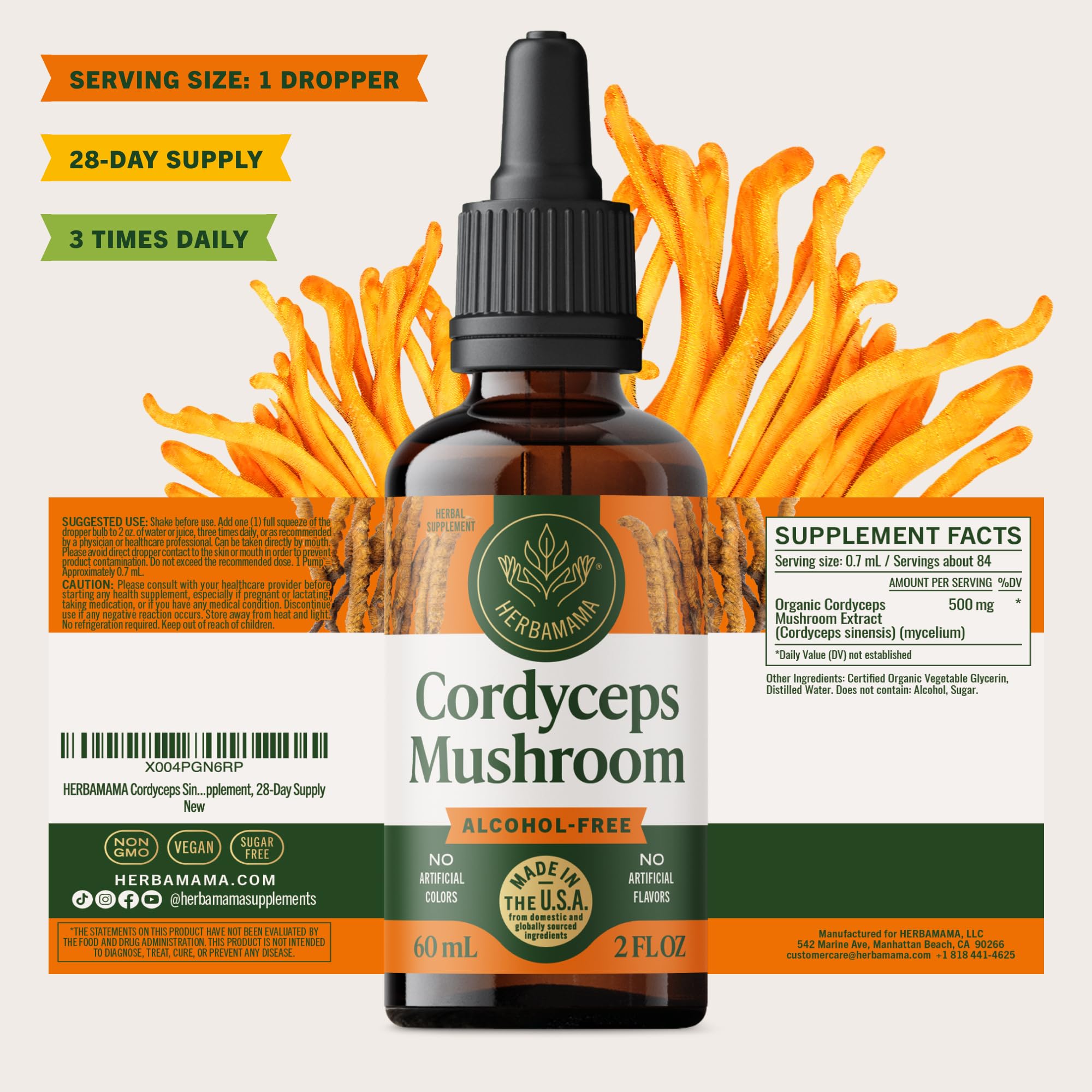Herbamama Cordyceps tincture in a calm wellness setup.