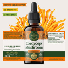 Herbamama Cordyceps tincture in a calm wellness setup.