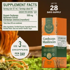 Glycerin, water, and Cordyceps ingredients in clear view.