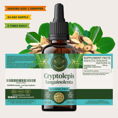 Compact packaging designed for on the go wellness with Herbamama Cryptolepis