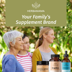 Herbamama Angelica root ingredient highlighted for wellness.