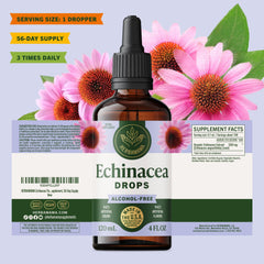 HERBAMAMA Echinacea tincture bottle shows non-GMO vegan profile.