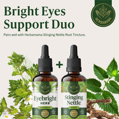 Herbamama Eyebright tincture bottle highlighting alcohol-free formula.