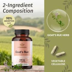 Close-up of the vegan vegetable cellulose capsule used by HERBAMAMA Goat's Rue