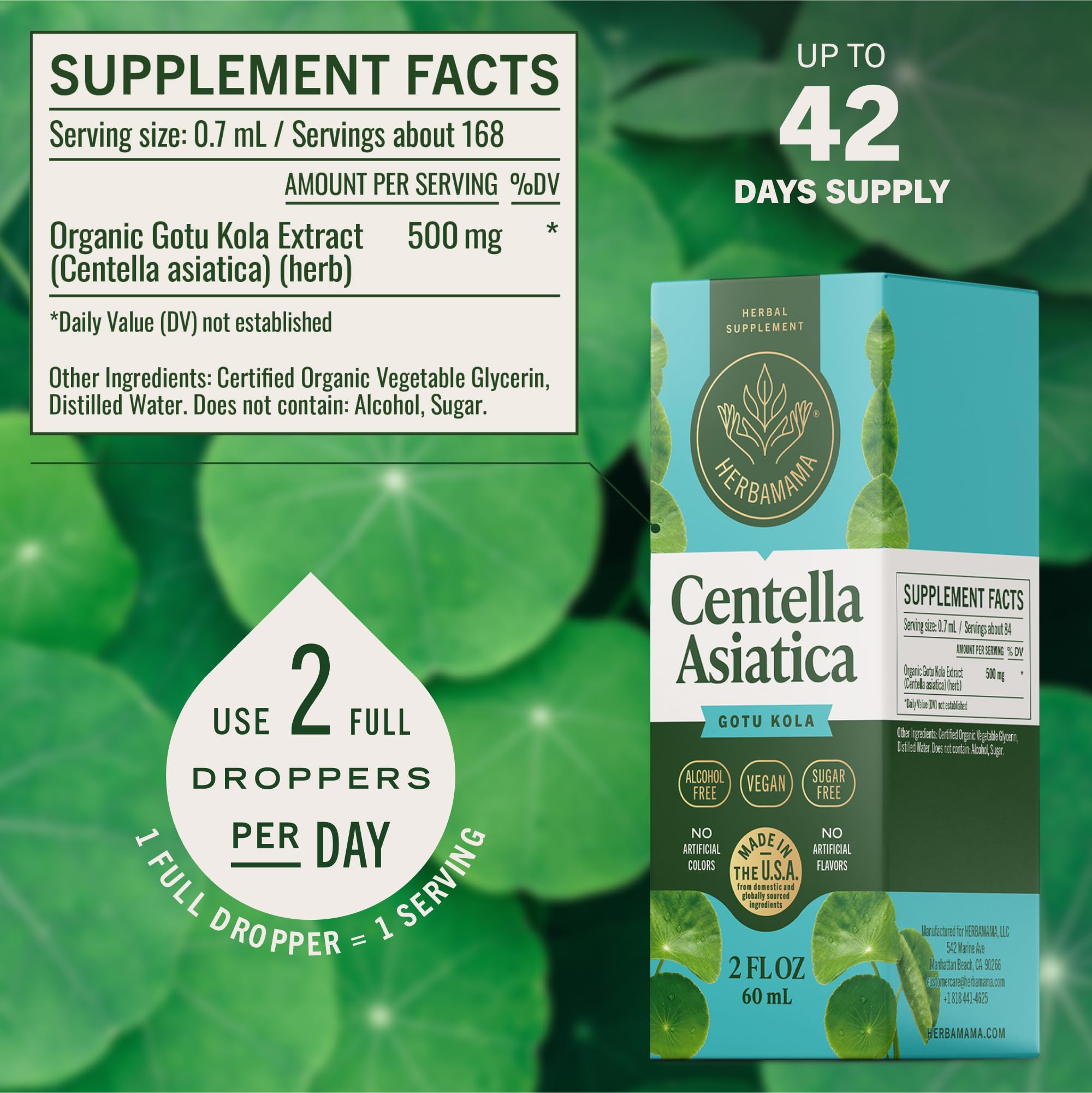 HERBAMAMA Gotu Kola liquid in glass demonstrates easy beverage integration for focus