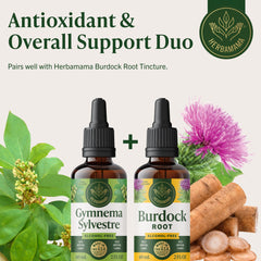 HERBAMAMA Gymnema Sylvestre Drops vegan formula packaging highlights non-GMO and alcohol-free.