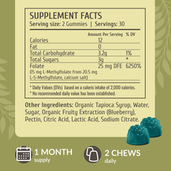 HERBAMAMA gummies in a jar show blueberry flavor, vegan and non-GMO for daily use.