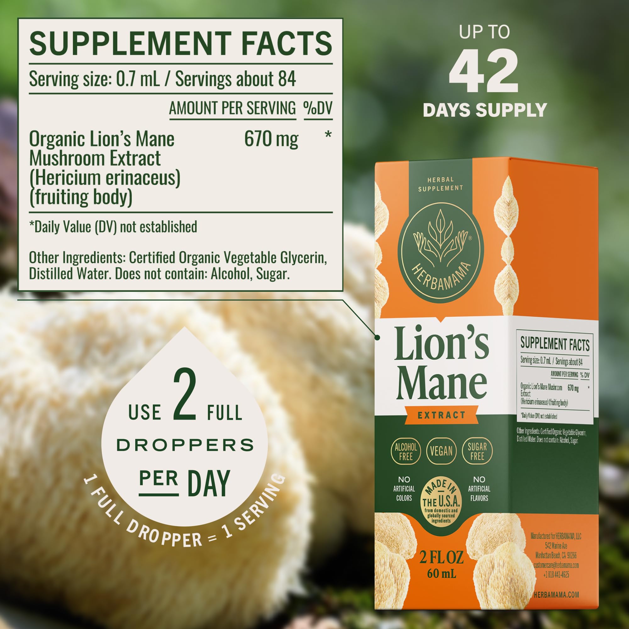 HERBAMAMA Lion's Mane tincture packaging communicates simple, clean ingredients