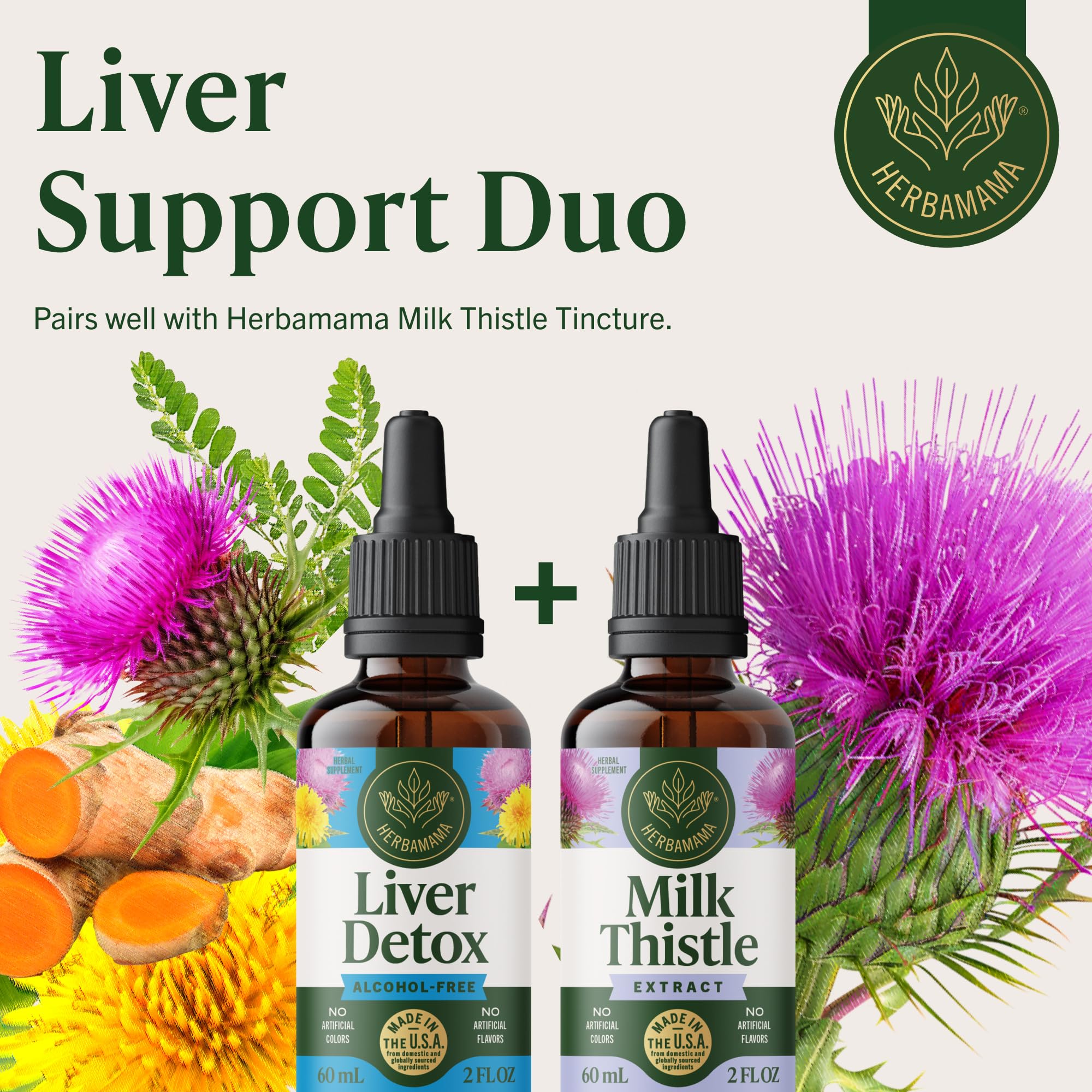 HERBAMAMA Liver Detox artichoke turmeric close-up for herbal blend
