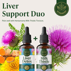 HERBAMAMA Liver Detox artichoke turmeric close-up for herbal blend