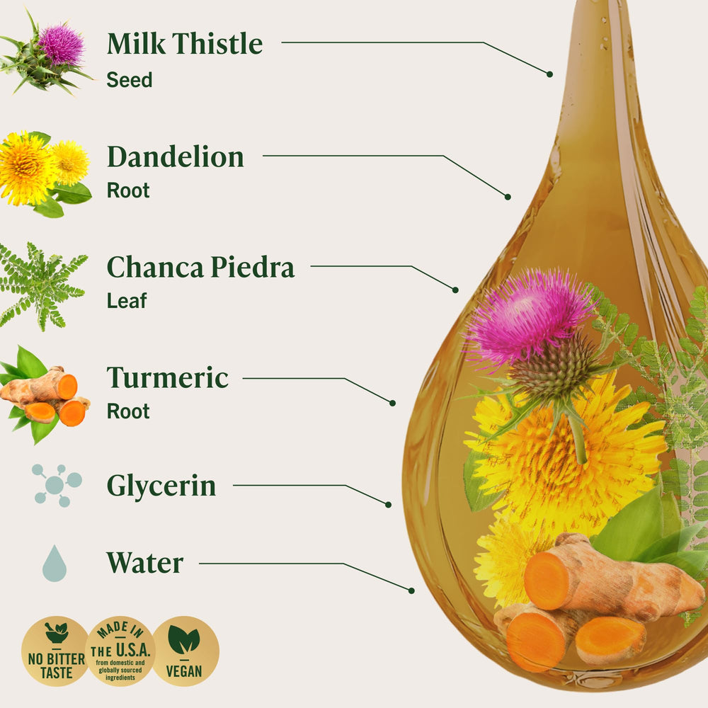 HERBAMAMA Liver Detox milk thistle close-up for herbal support