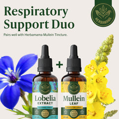 HERBAMAMA tincture offers rapid absorption for quick respiratory support.