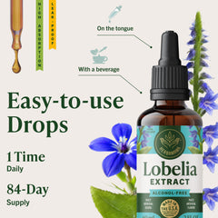 HERBAMAMA Lobelia tincture vegan and gluten-free option for sensitive diets.
