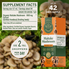 HERBAMAMA Maitake tincture under tongue for fast absorption