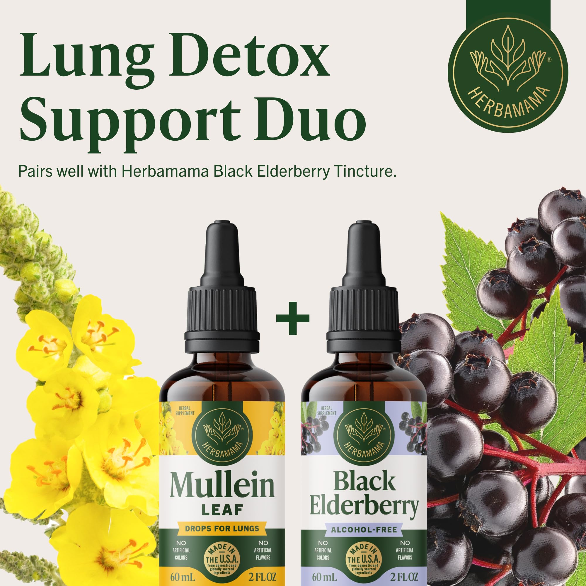 Illustration of mullein leaves and herb blend used.