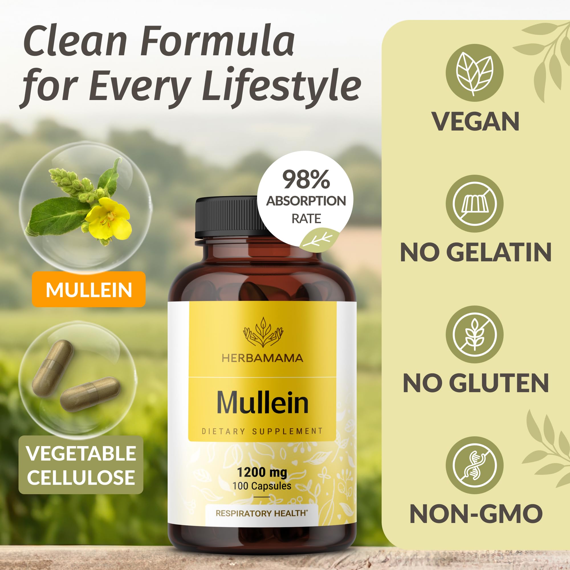 Mullein Leaf Capsules taken with water during daily routine