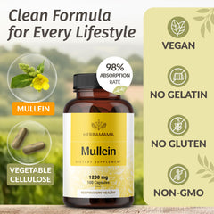 Mullein Leaf Capsules taken with water during daily routine
