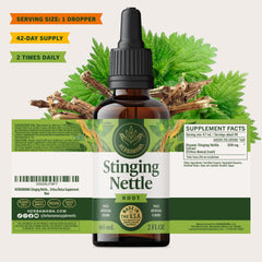 HERBAMAMA nettle extract bottle emphasizes root-based formula.