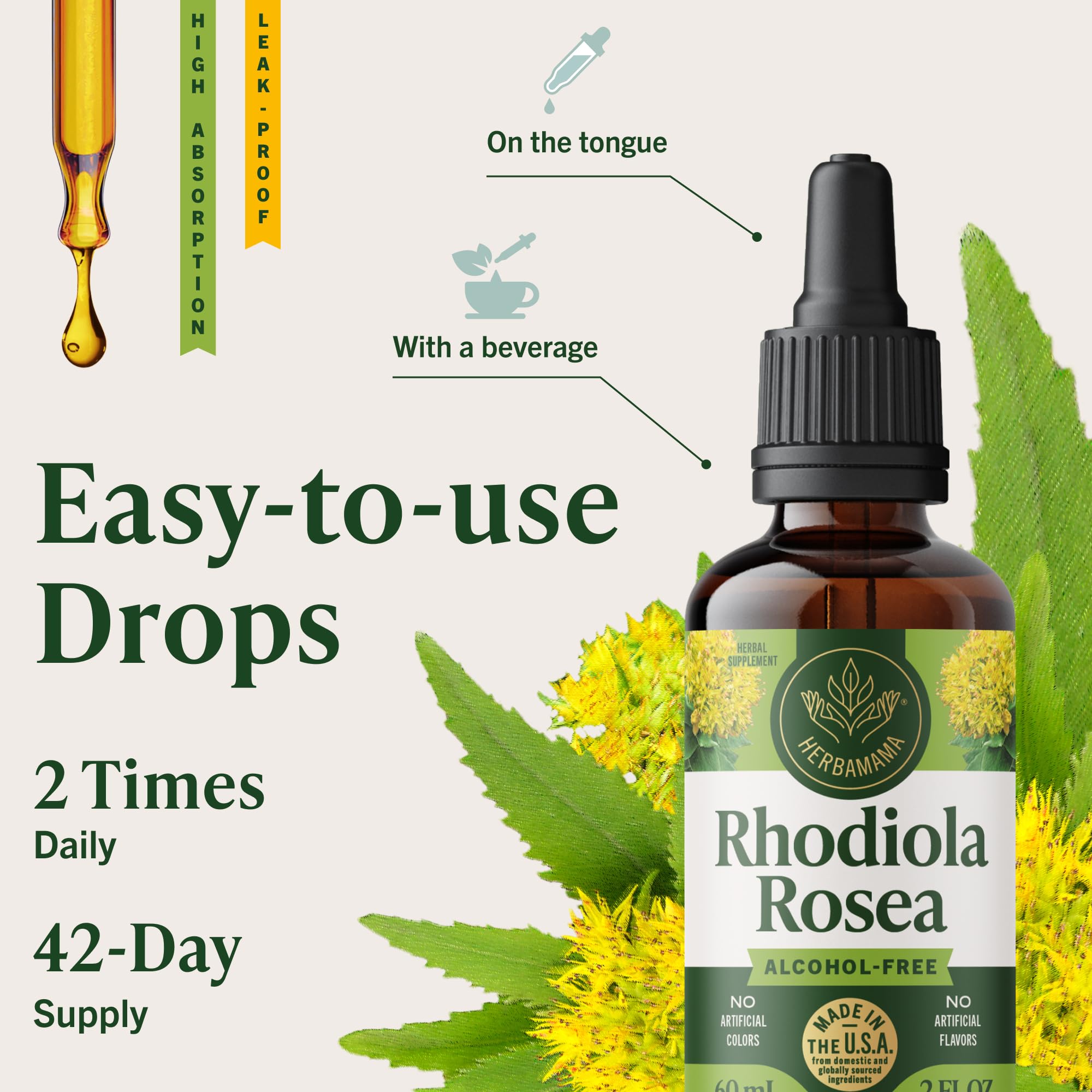 Graphic showing fast absorption of Herbamama tincture