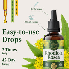 Graphic showing fast absorption of Herbamama tincture