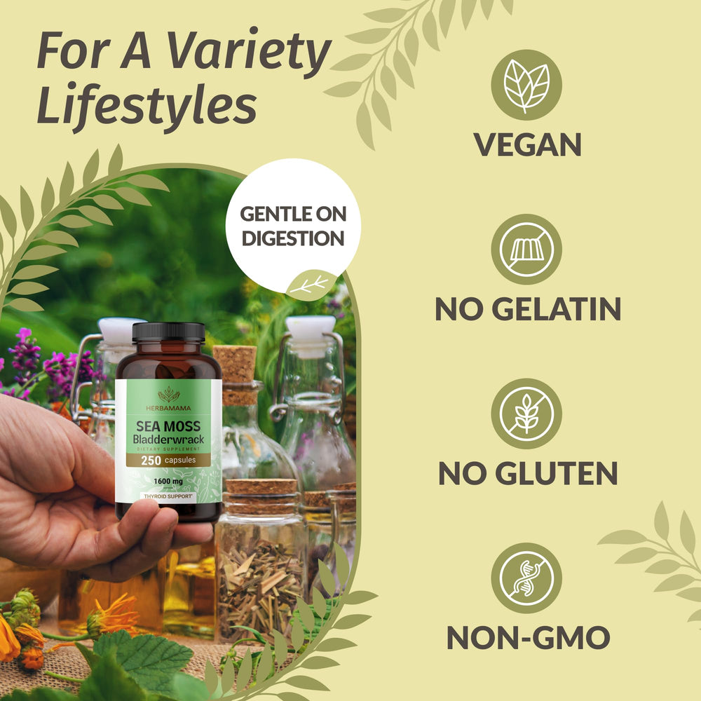 HERBAMAMA sea moss capsules open, ready for on-the-go consumption.