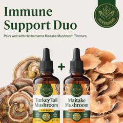 Vibrant tincture color hints at antioxidant-rich turkey tail extract.