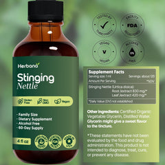 HERBANA nettle leaves close-up highlighting natural, nutrient-rich herbal properties.