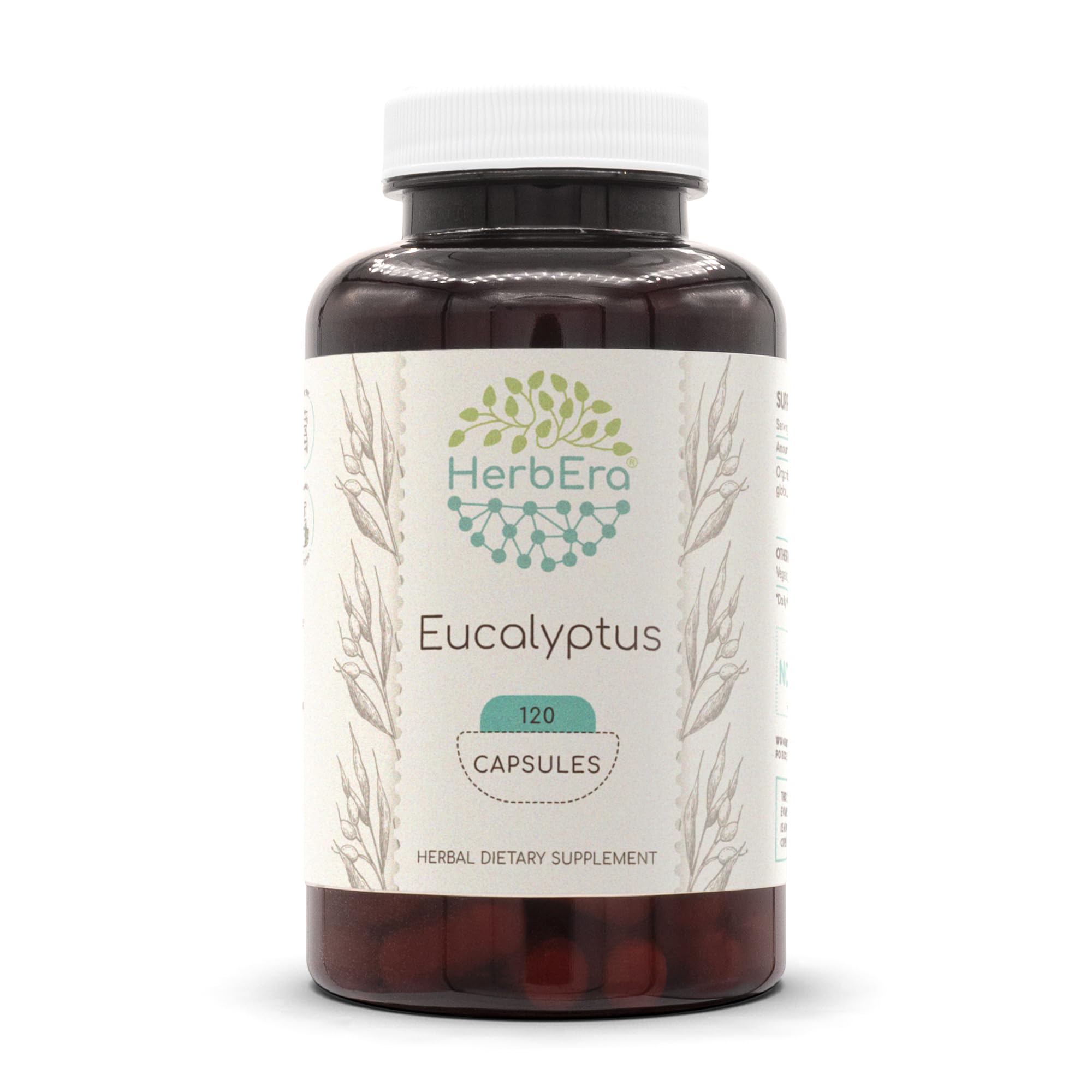 HerbEra eucalyptus capsules bottle front with 400 mg serving