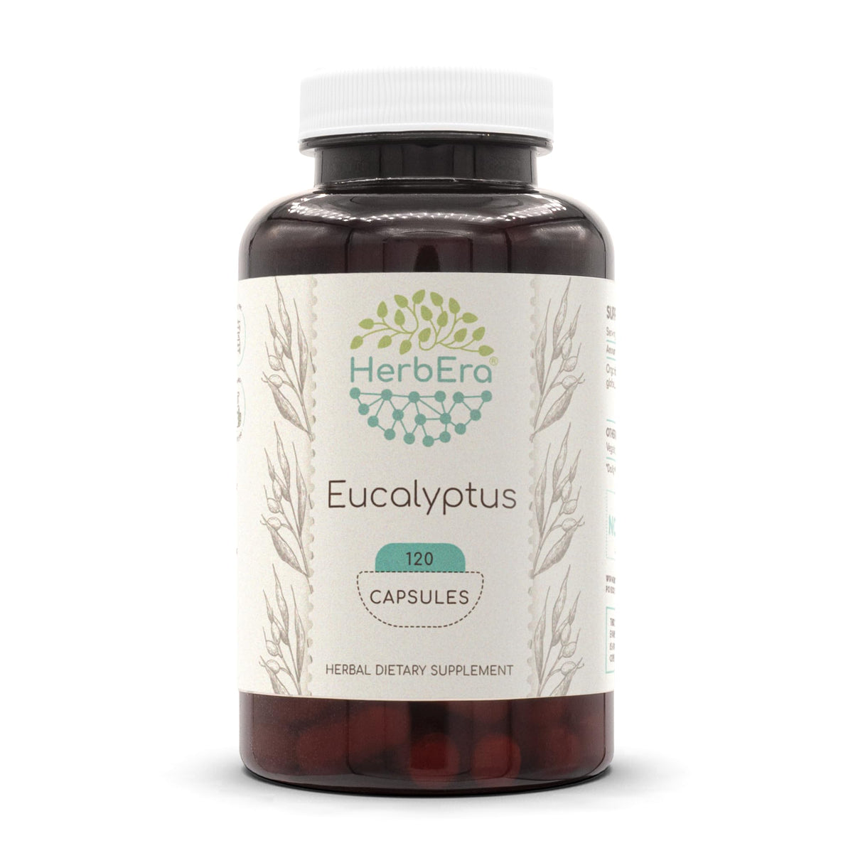HerbEra eucalyptus capsules bottle front with 400 mg serving