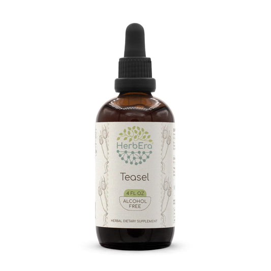 HerbEra Teasel B120 tincture bottle pour for easy daily use
