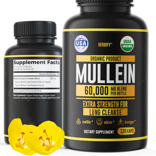 HERBIFY Mullein Capsules bottle for daily respiratory support.