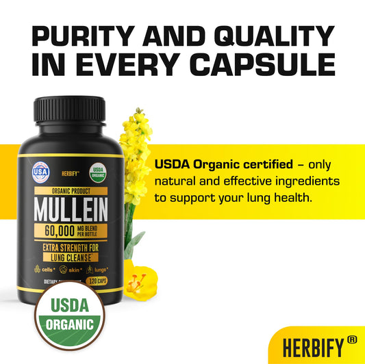 HERBIFY Mullein Capsules label with organic mullein extract supporting wellness.