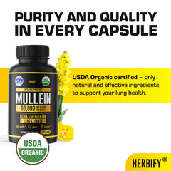 HERBIFY Mullein Capsules label with organic mullein extract supporting wellness.