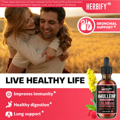 Herbify Mullein Drops dropper enabling precise dosing for daily use.