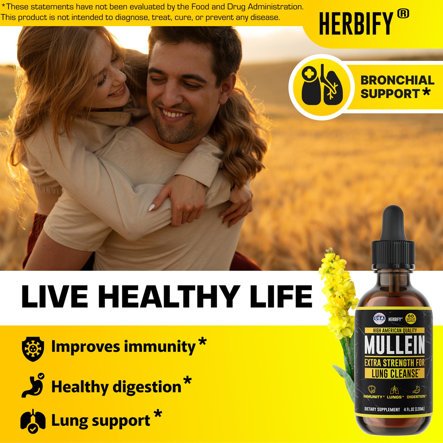 Herbify Mullein Drops glass tincture reveals a rich herbal liquid for potential comfort.