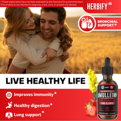 Close-up of mullein leaves and flowers used in HERBIFY Drops for respiratory wellness