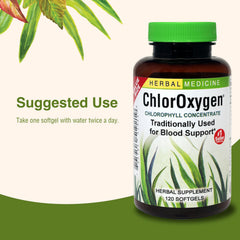 Softgel texture highlighted for easy swallowing during daily wellness rituals.
