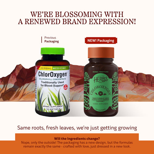 Close-up of ChlorOxygen bottle label highlighting chlorophyll concentrate.
