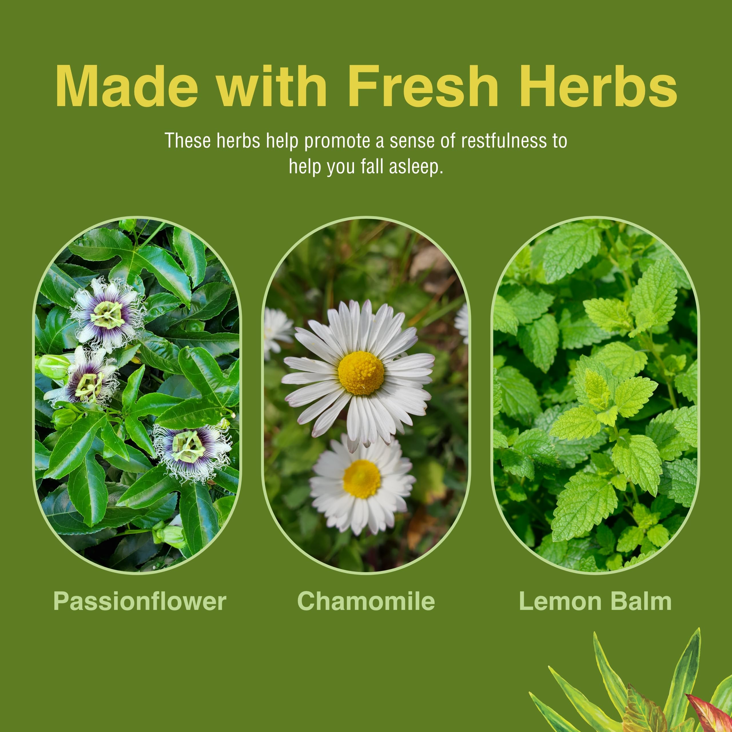 Herbs Etc. Deep Sleep Softgels pack demonstrates two-bottle value.