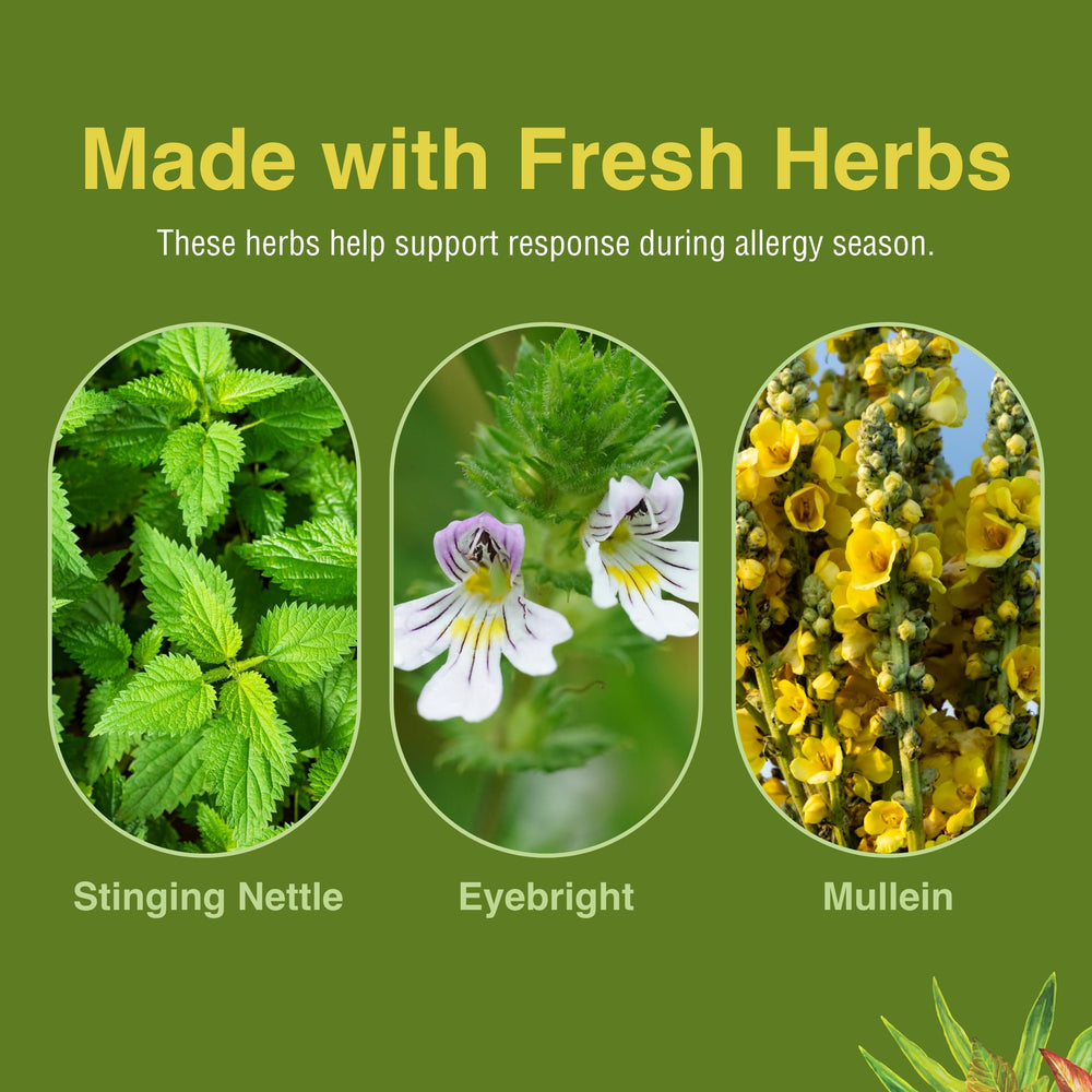 Herbs Etc. licorice with vitamins highlight adrenal and sinus wellness support.