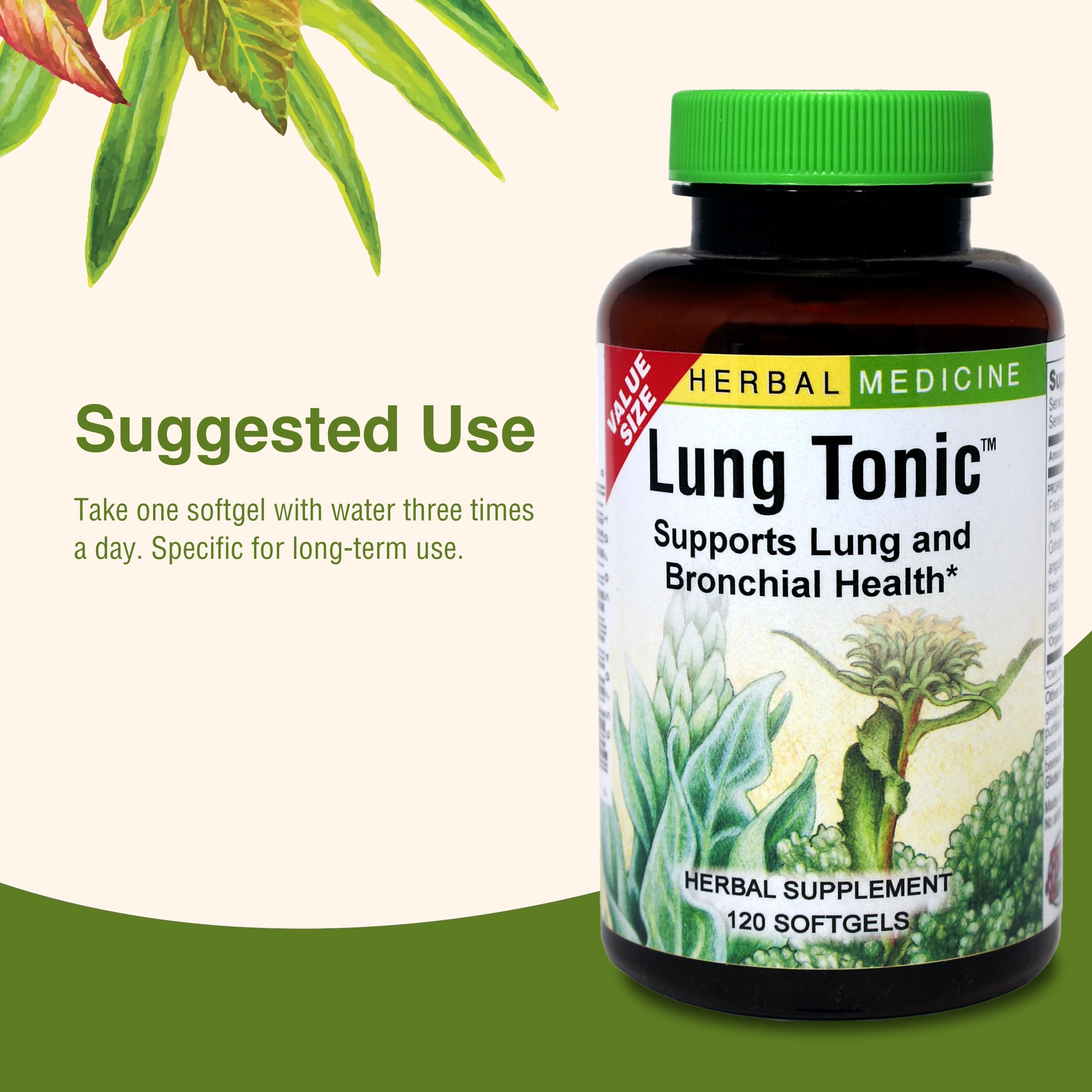 Herbs Etc. Lung Tonic two-pack on display for ongoing use and value.