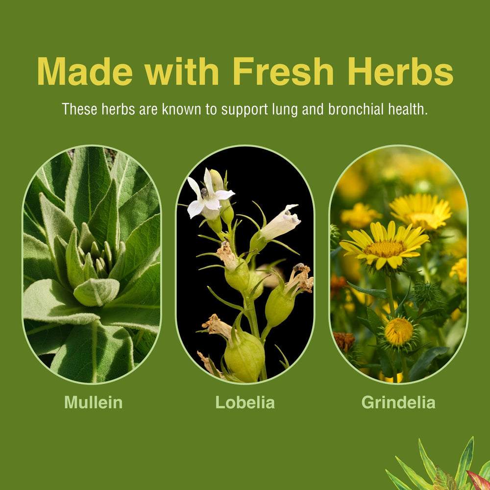 Herbs Etc. Lung Tonic dosage card shows three softgels daily for routine support.