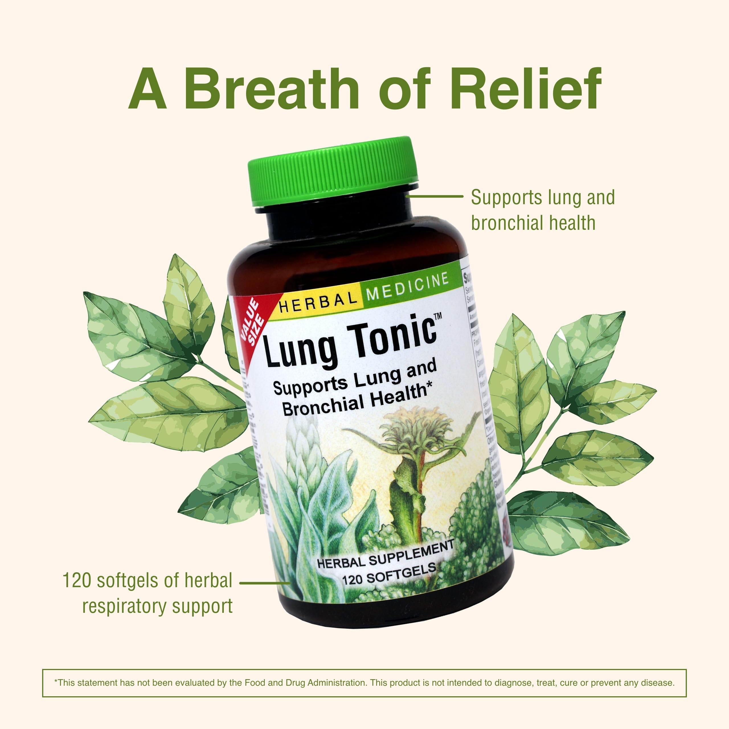 Herbs Etc. Lung Tonic horehound imagery hints natural bronchial care.