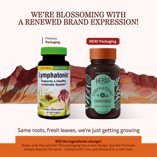 Herbs Etc. Lymphatonic label close-up highlighting organic ingredients for natural support.