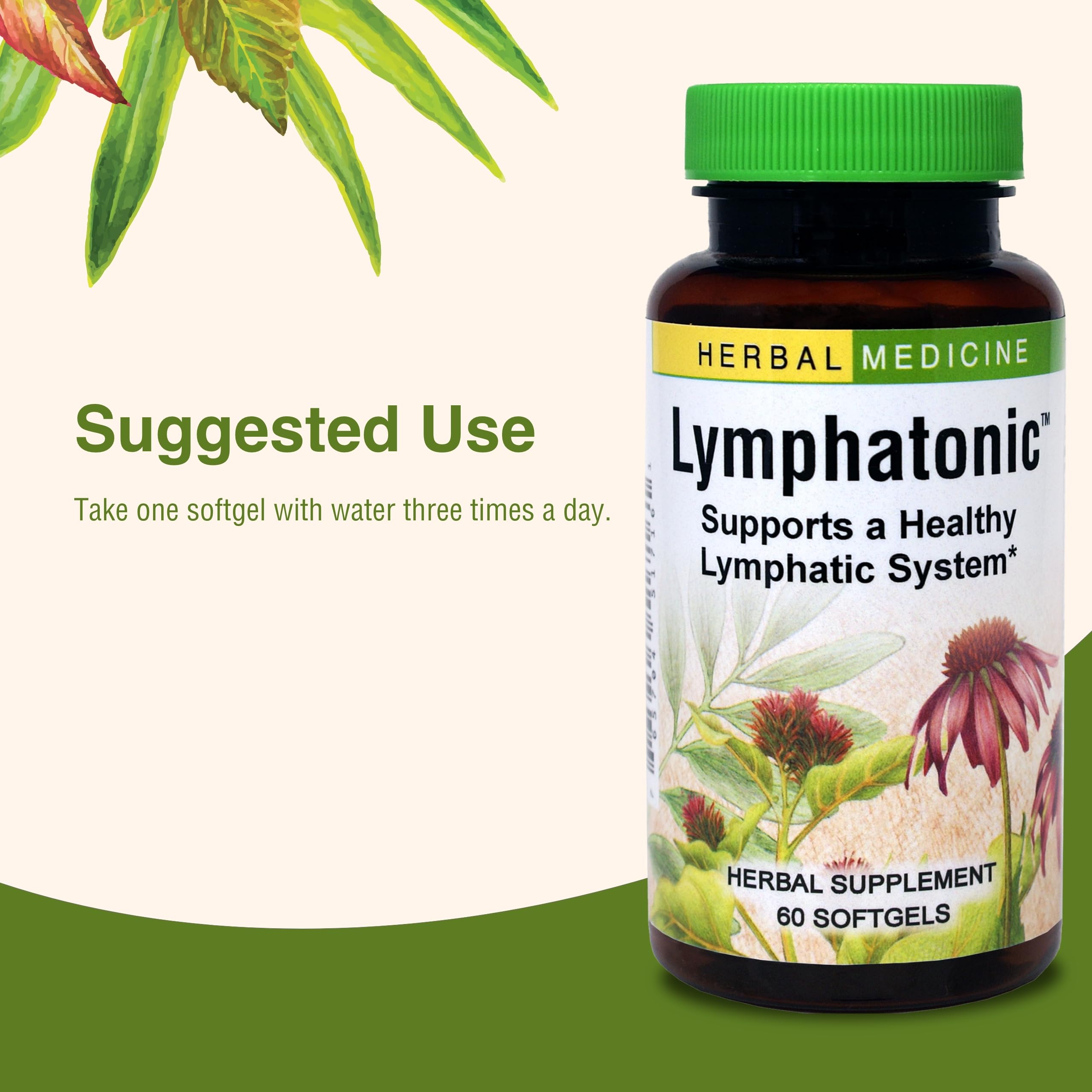 Herbs Etc. Lymphatonic packaging communicates gluten-free herbal supplement benefits.