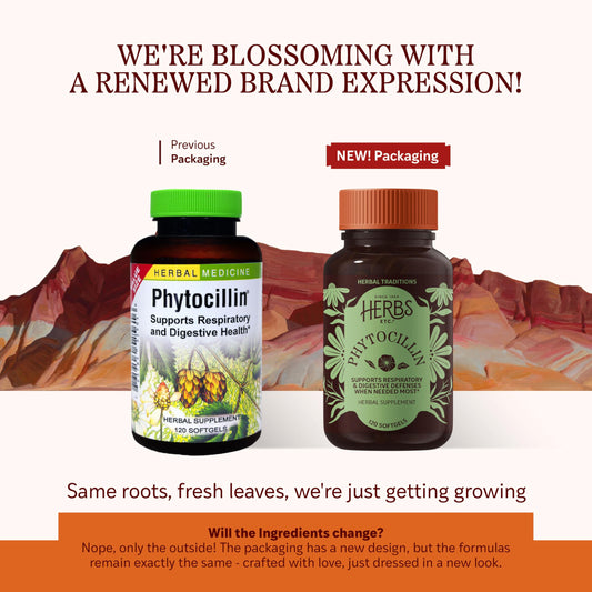 Herbs Etc. Phytocillin bottle front showing herbal blend