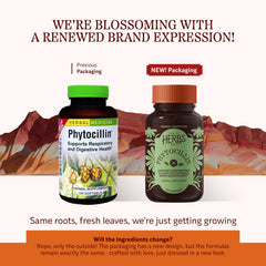 Herbs Etc. Phytocillin bottle front showing herbal blend
