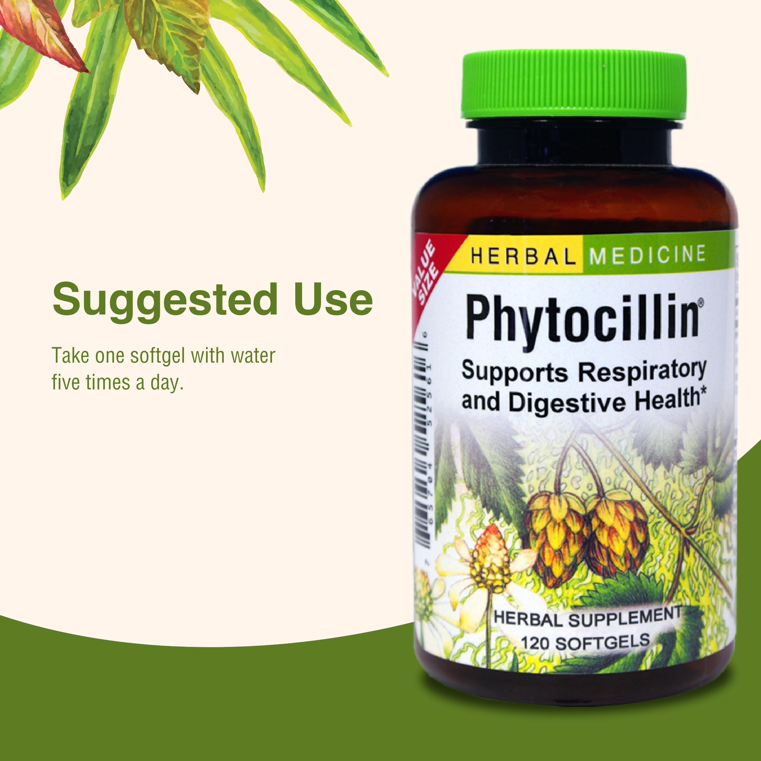 Herbs Etc. Phytocillin digestive and respiratory graphic